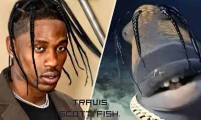 travis scott fish