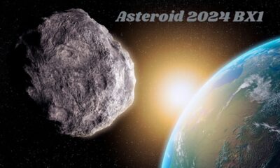 Asteroid 2024 BX1's
