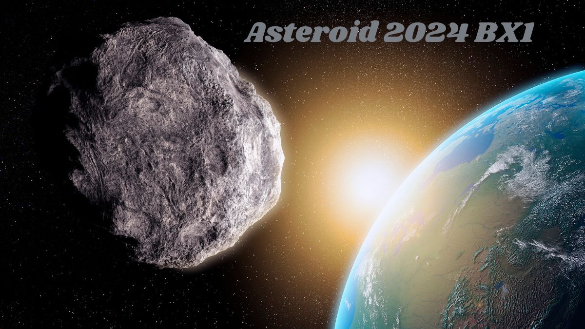 Asteroid 2024 BX1's